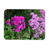 フラワーアットシャトーモリゼットワイナリー, Floyd, VA マグネット (横)