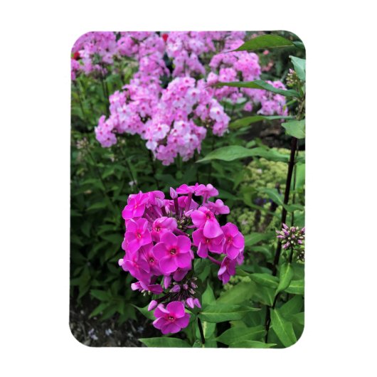 フラワーアットシャトーモリゼットワイナリー, Floyd, VA マグネット (縦)