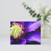 フラワーアートハガキ ポストカード (スタンド正面)