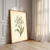 フラワーイングタバコの植物画ウォールアートプリント ポスター