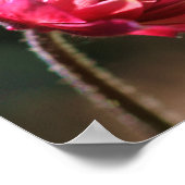 フラワーインサンインナーピース引用文 感動的 ポスター (角)