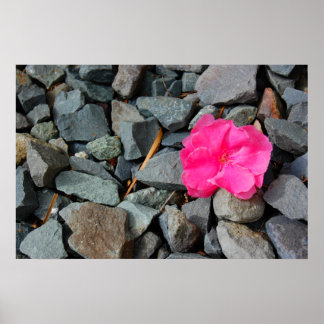 「フラワーインザラフ」ポスター ポスター