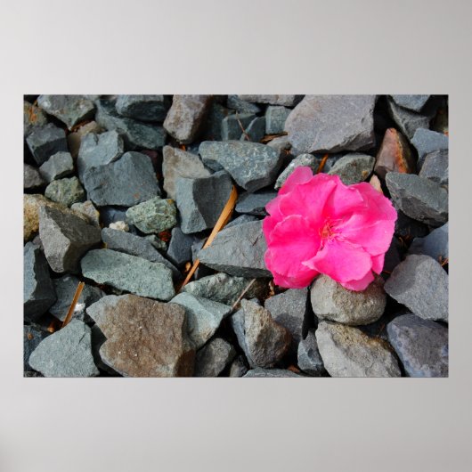 「フラワーインザラフ」ポスター ポスター (正面)