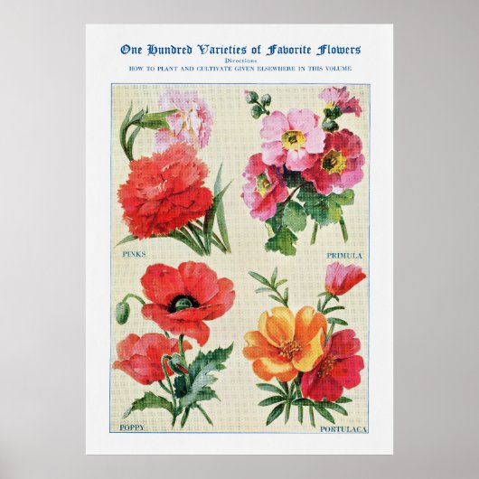 フラワーウォーター色3 ポスター (正面)