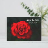 フラワーエレガント・レッド・ローズSave the Date セーブザデート (スタンド正面)