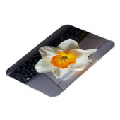 フラワーオーバーキーボード マグネット (左側)