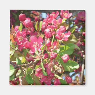 フラワーカニ1磁石 マグネット