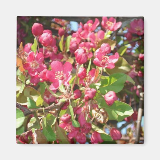 フラワーカニ1磁石 マグネット (正面)