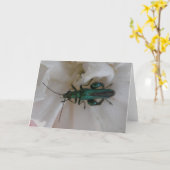 フラワーカブトムシグリーティングカード カード (黄色い花)