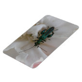 フラワーカブトムシプレミアムマグネット マグネット (左側)