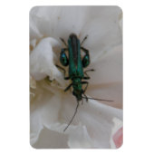 フラワーカブトムシプレミアムマグネット マグネット (縦)