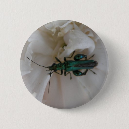 フラワーカブトムシ 缶バッジ (正面)