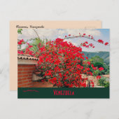 フラワーカラカスと家ベネズエラ ポストカード (正面/裏面)