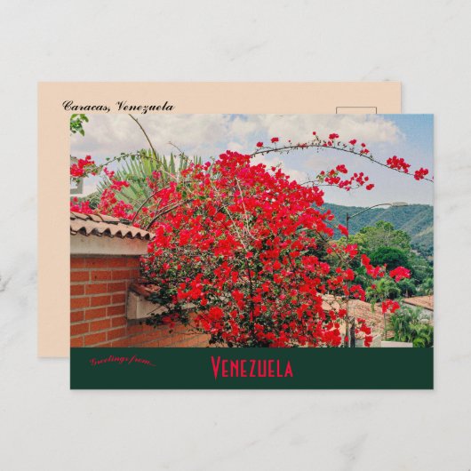 フラワーカラカスと家ベネズエラ ポストカード (正面/裏面)