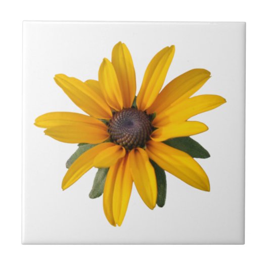 フラワーカントリーハッピーイエロー タイル (正面)