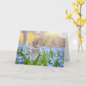 フラワーカード付きチップムンク カード (黄色い花)