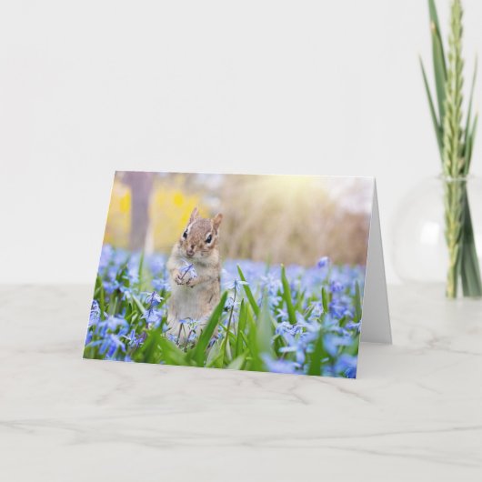 フラワーカード付きチップムンク カード (正面)