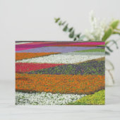 フラワーカーペット シーズンカード (スタンド正面)