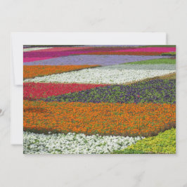 フラワーカーペット シーズンカード