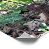 フラワーガーデンさびた車輪およびポンプ ポスター (角)