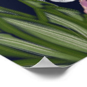 フラワーガーデンにヒョウ ポスター (角)