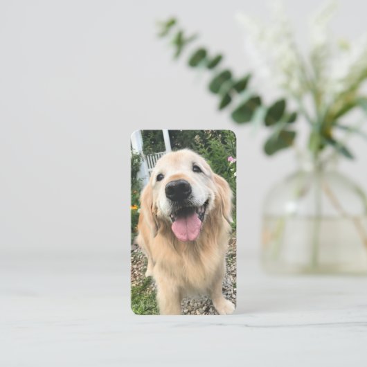 フラワーガーデンのブックマークのゴールデンレトリバー犬 名刺 (スタンド正面)