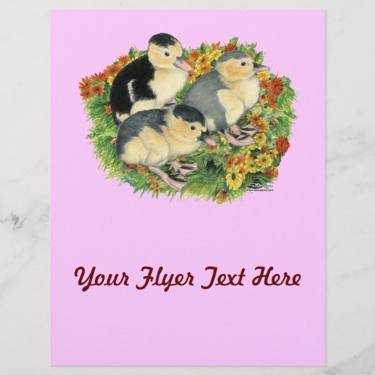 フラワーガーデンアヒル チラシ (正面)