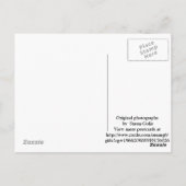 フラワーガーデンパス写真はがき ポストカード (裏面)