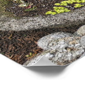 フラワーガーデンフェアリー木炭の写真絵を描の写真 ポスター (角)