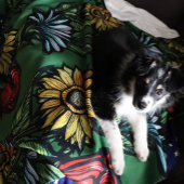 フラワーガーデンフローズスバラひまわり及びチューリップ シェルパブランケット