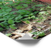 フラワーガーデンラスティ消火栓 ポスター (角)