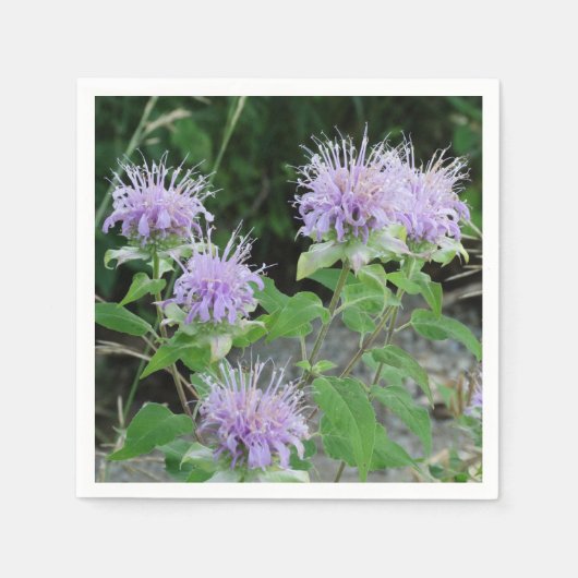 フラワーガーデン3 スタンダードカクテルナプキン (正面)