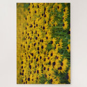 フラワーガーデン – 20x30 - 1014ピッツジグソーパズル ジグソーパズル (縦)