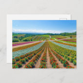 フラワーガーデン | Shikisaiの丘フラワーファーム ポストカード (正面/裏面)