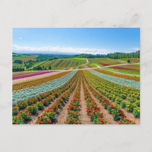 フラワーガーデン | Shikisaiの丘フラワーファーム ポストカード (正面)