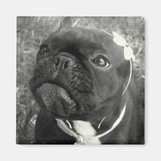 フラワーガールマグネット マグネット