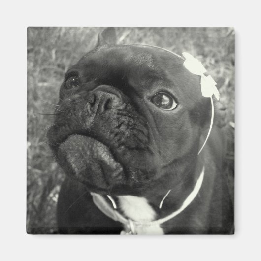 フラワーガールマグネット マグネット (正面)