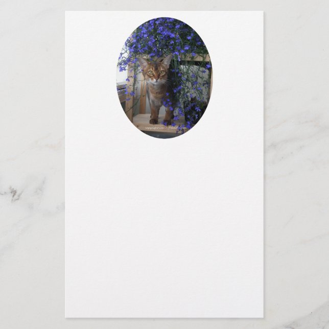 フラワーキャット楕円 (正面)