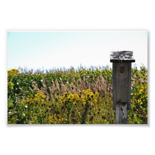 フラワークープ フォトプリント            (正面)