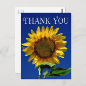 フラワーサンキューイエローサンフラワーフローラはがき ポストカード (正面/裏面)