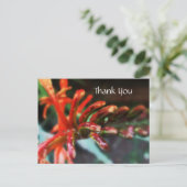 フラワーシャワー葉書 ポストカード (スタンド正面)