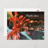 フラワーシャワー葉書 ポストカード (正面/裏面)