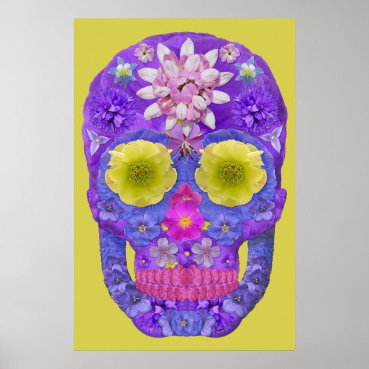 フラワースカル5 ポスター (正面)