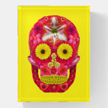 フラワースカル6