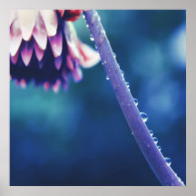 フラワーステムマクロ抽象芸術