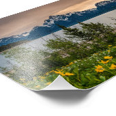 フラワーズアットコルターベイ フォトプリント            (角)
