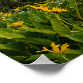 フラワーズアットコルターベイ ポスター (角)