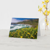 フラワーズアバブサンドドルビーチ カード (黄色い花)