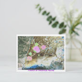 フラワーズインオーシャンサイドマリーナ ポストカード (スタンド正面)