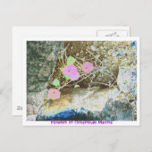 フラワーズインオーシャンサイドマリーナ ポストカード (正面/裏面)